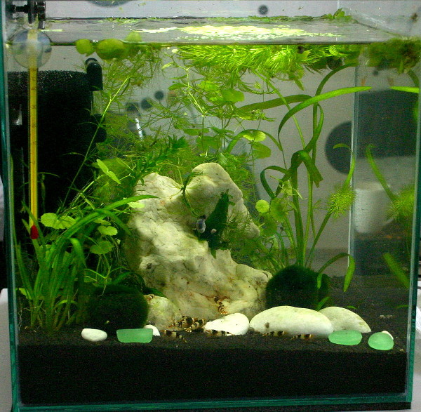 Aquarium