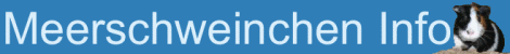 Meerie-Info