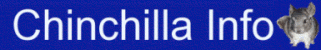 Chinchilla-Info