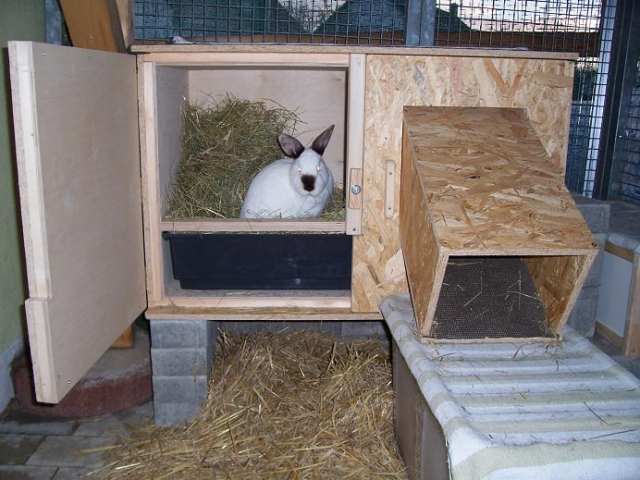 Schutzhütte Kaninchen