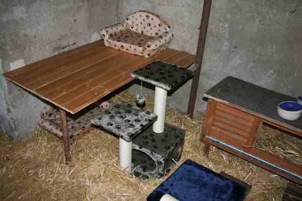 Stall