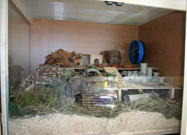 Eingerichtetes Gehege