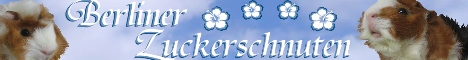 berliner-zuckerschnuten.de.tl